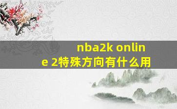 nba2k online 2特殊方向有什么用